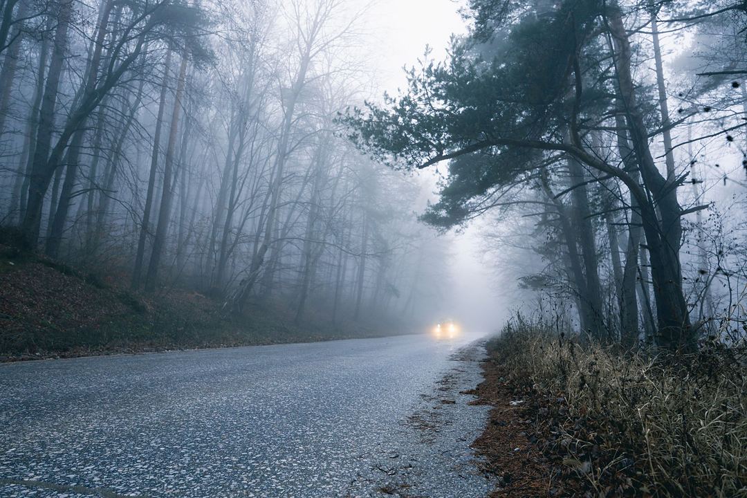 Landstraße im Nebel