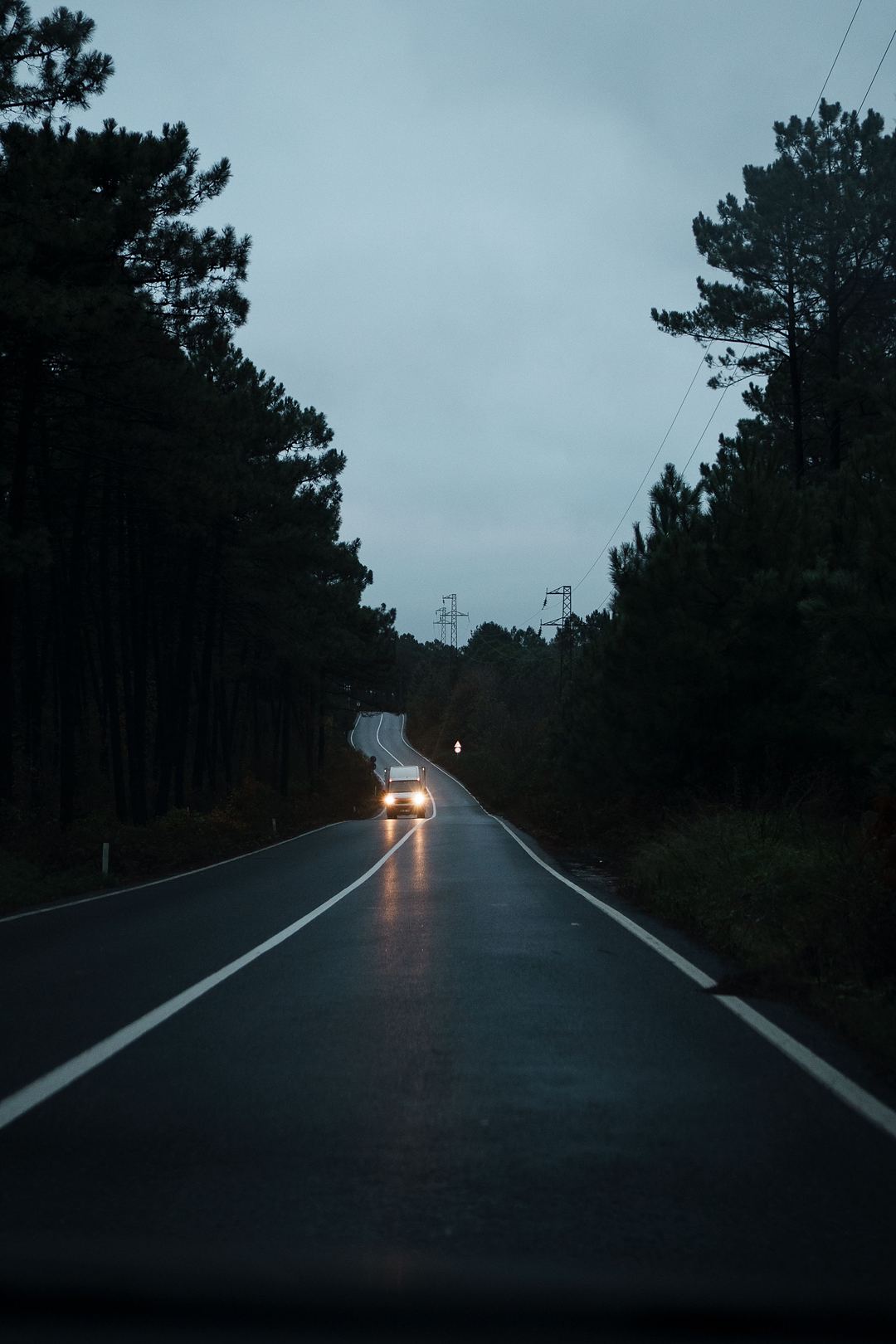 Auto mit Licht auf einer Waldstraße in der Dämmerung